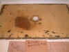 handicapshowerafterglass.jpg (29981 bytes)
